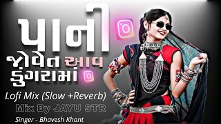 Insta Trending Viral Timli 2025 | Bhavesh Khant | Pani Jove T Aav Dungarama | New DJ Remix 🎵