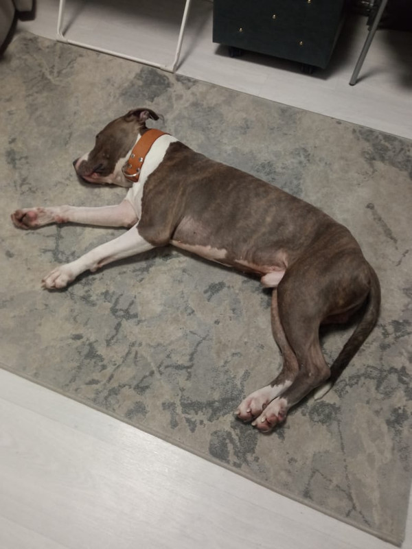 F89B143A-5F68-4D71-B97A-60A448733A94