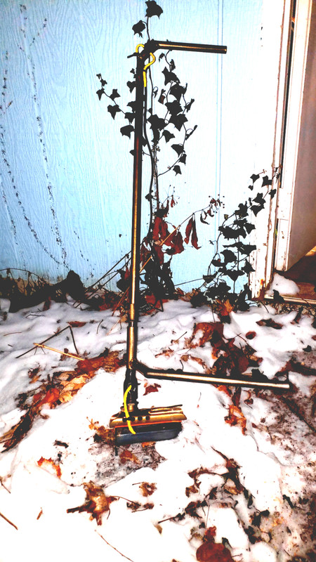 cameringo_2019-01-16_005257