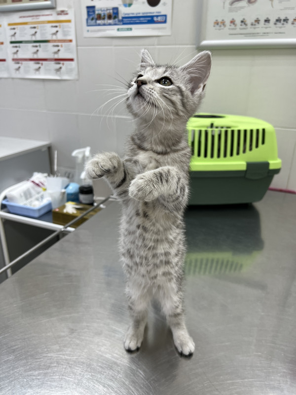 EF1E15FA-370D-4283-A4F1-9EFB362C9BC0