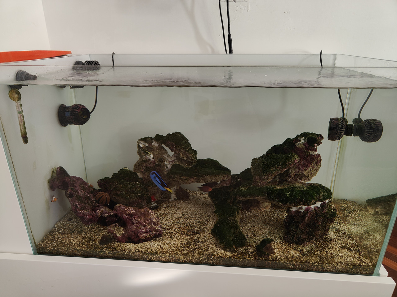 17649213963646131174463396967295