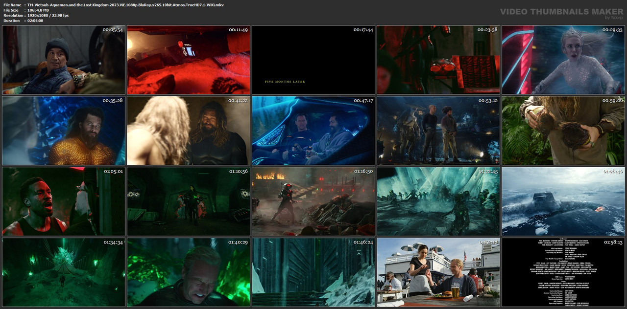 TM-Vietsub-Aquaman-and-the-Lost-Kingdom-2023-Vi-E-1080p-Blu-Ray-x265-10bit-Atmos-True-HD7-1-Wi-Ki-mkv.jpg