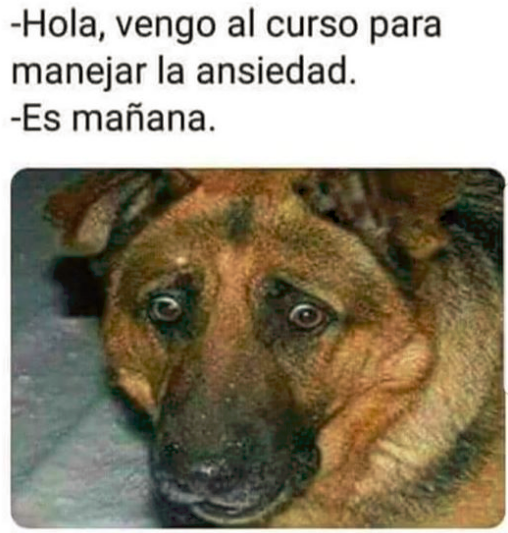 7258xSVeJbKkzXhyseBP4PYz11eBDT8sW2oR1a4vfVFS6Hp4K86xvBUiu43bRU5Z