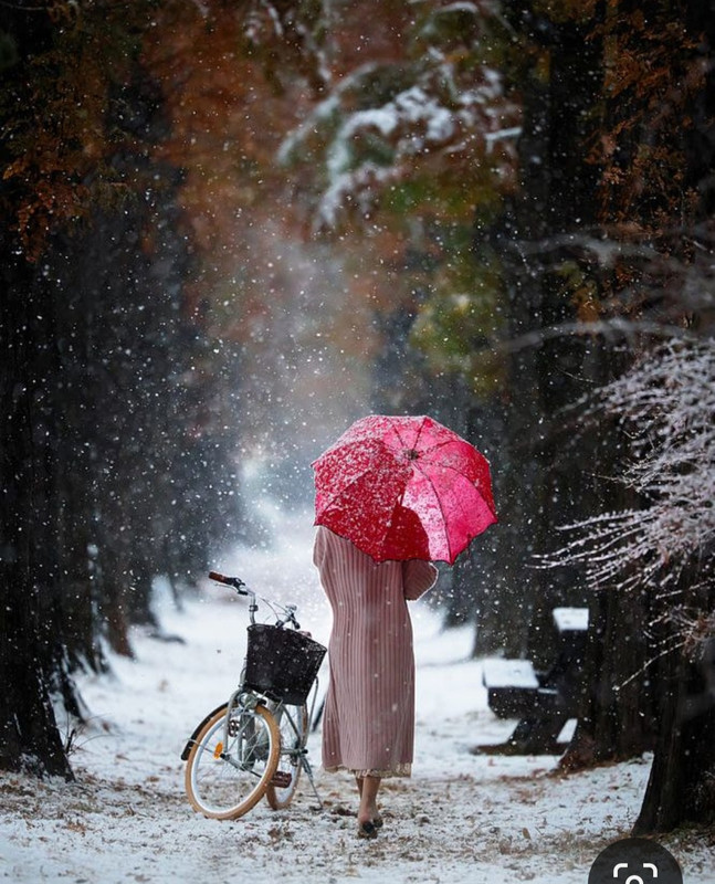 Screenshot_20231222_130217_Pinterest