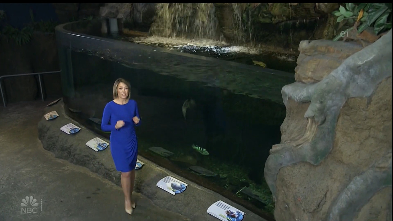11.07 - 15.00.00 - Earth Odyssey With Dylan Dreyer. The world's smart....ts_snapshot_00.14.41.076
