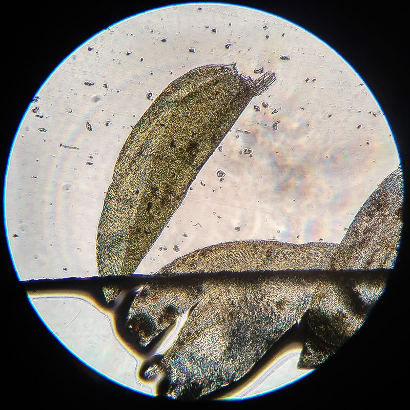 IMG 20250616 215757 HDR