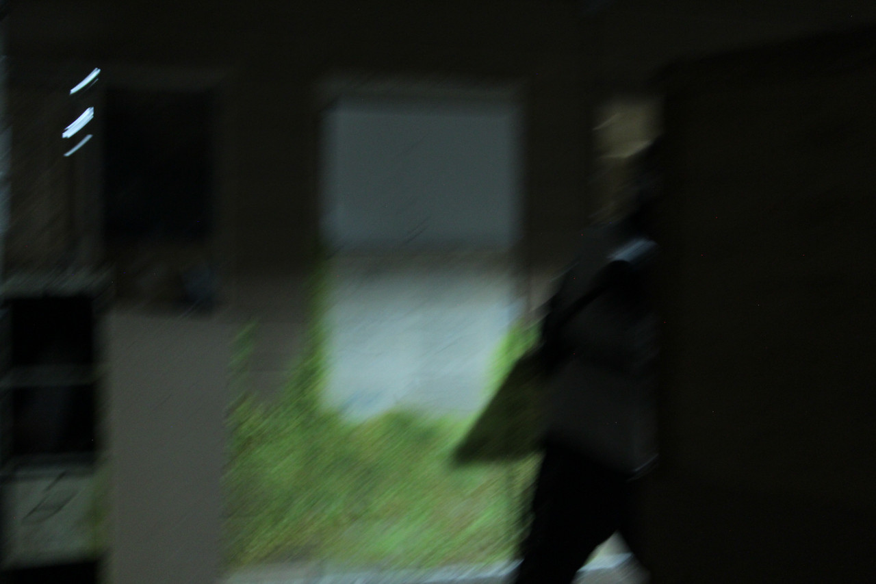 IMG 9375