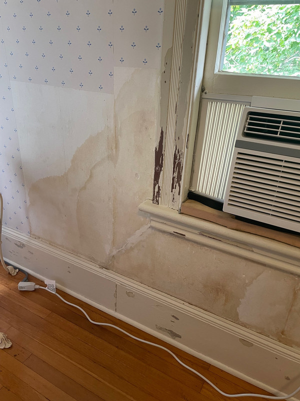 Water stains plaster wall 1