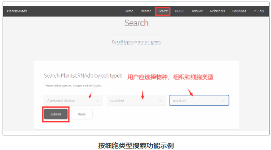 植物单细胞RNA分析数据库-2.png