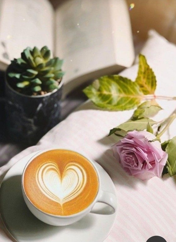 Screenshot_20230517_004428_Pinterest