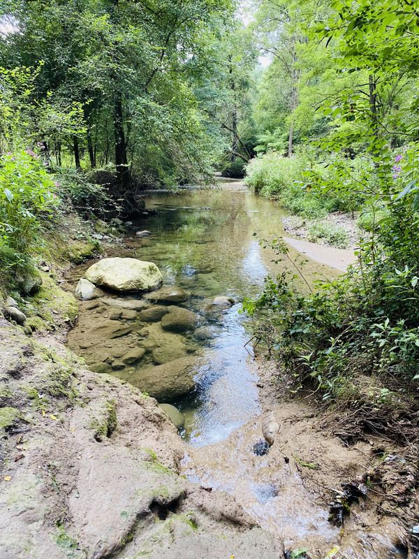 64E32F31-BDA5-4A86-B0FF-BCCB91114FD1