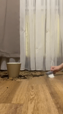 010.gif