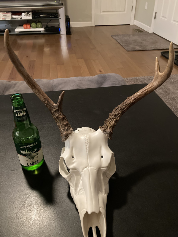 7DD9C2E8-3CBC-47FB-AAF2-9897D5224B13