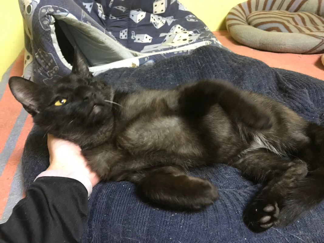 14997A27-A24C-4353-B4DE-3CEAC447B8B3