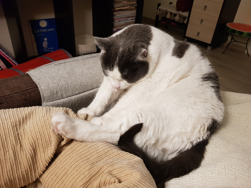20190415-212916.jpg