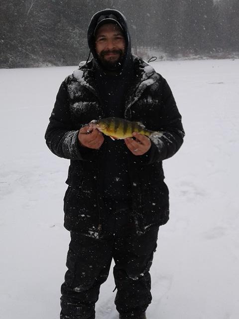 perch 2