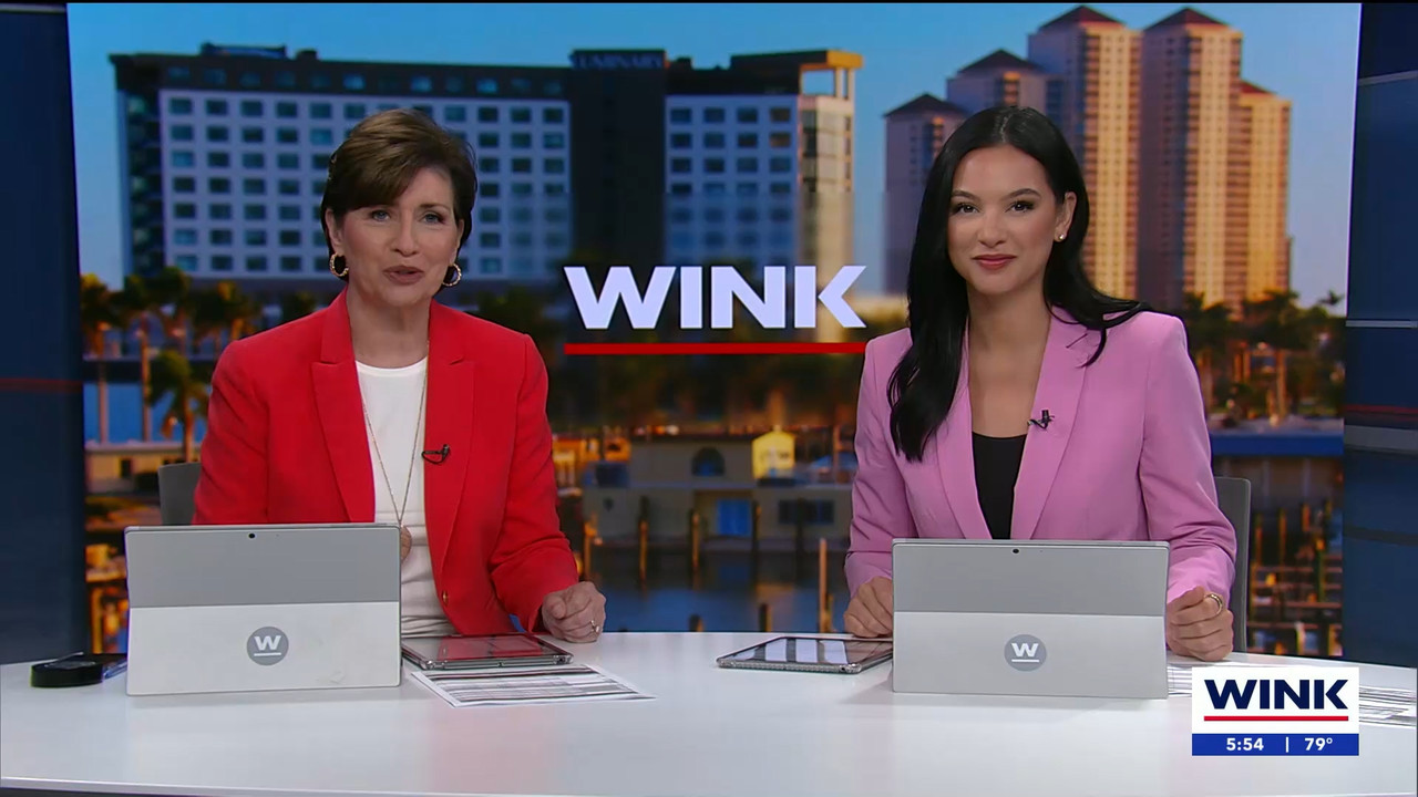 03.21 - 21.00.01 - WINK News at 5pm.   Category  News.      EPG Credi....ts_snapshot_00.55.29.319