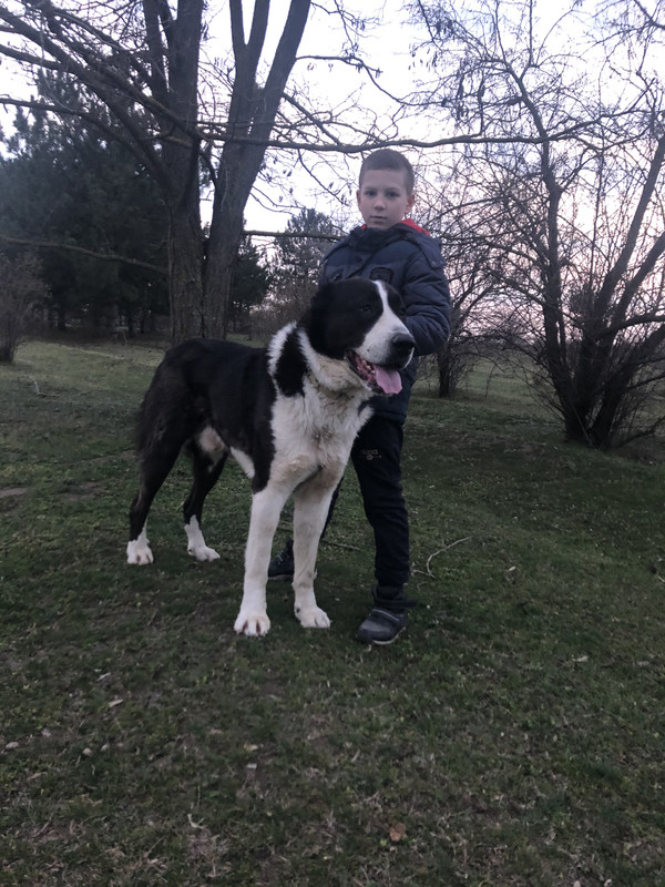 D380E9D2-3E2E-4096-A1C5-DED50EEA9594