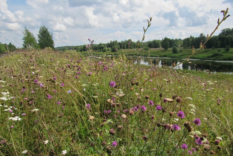 IMG-7757.jpg