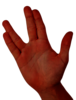 IMG-0185.png