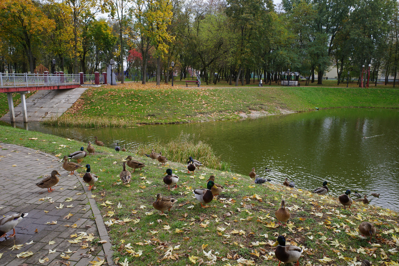 Октябрьская зарисовка 2