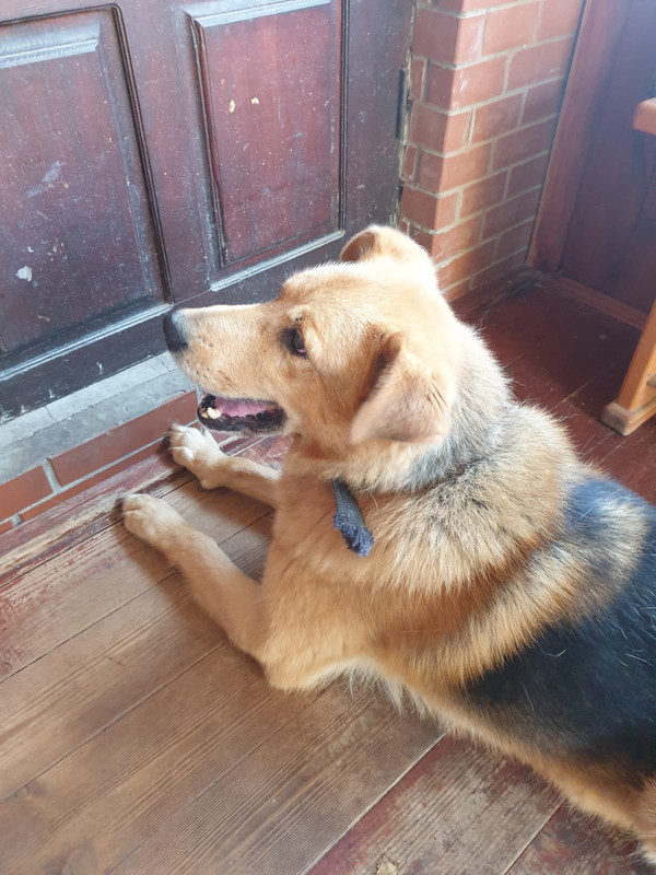 E12A704E-45A8-4DE7-AFEF-8FD593B5CBA5