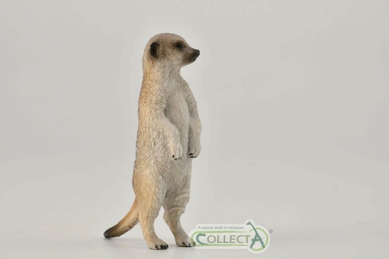 The 2021 STS Wild life Figure of the Year. Make your choice ! CoolectA_21__Meerkat