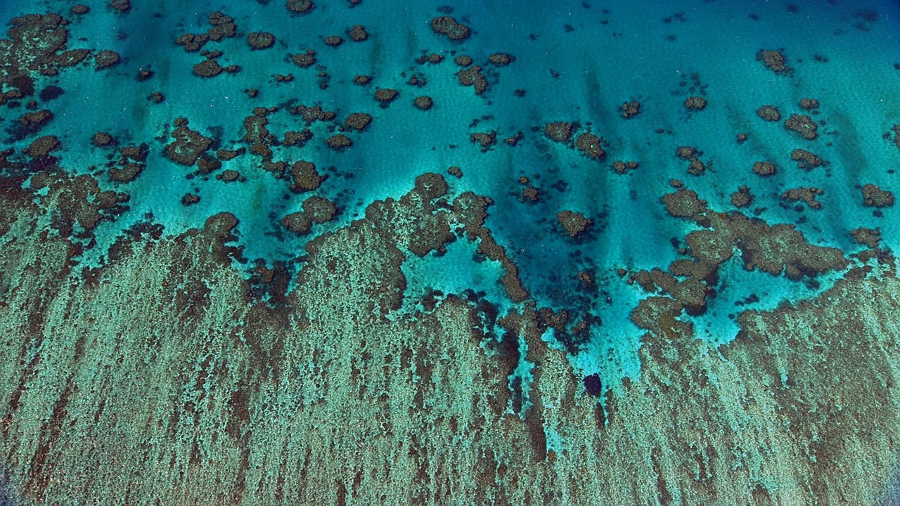 Home (2009).mkv_snapshot_00.14.44_[2018.03.13_00.00.29]