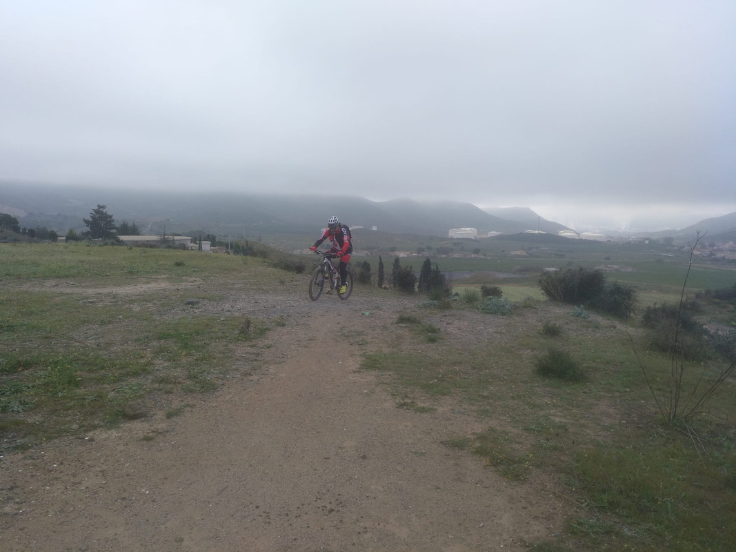 ASNOVESTRE ASNO BEJAR (5)