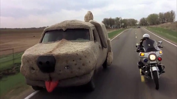 Dumb And Dumber 1994 In Hindi Download Dumb And Dumber 1994 In Hindi Download