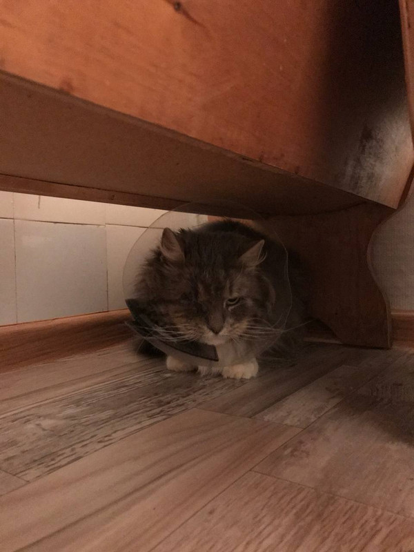 FB640147-A8CA-47FC-B855-E4F10F5D812C