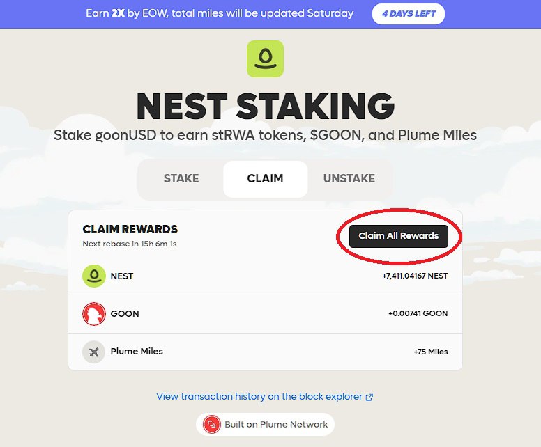 photo_2024-07-16_11-55-28