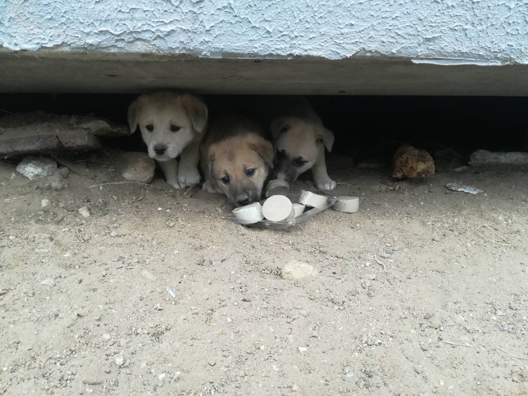 IMG_0349-27-10-18-02-44