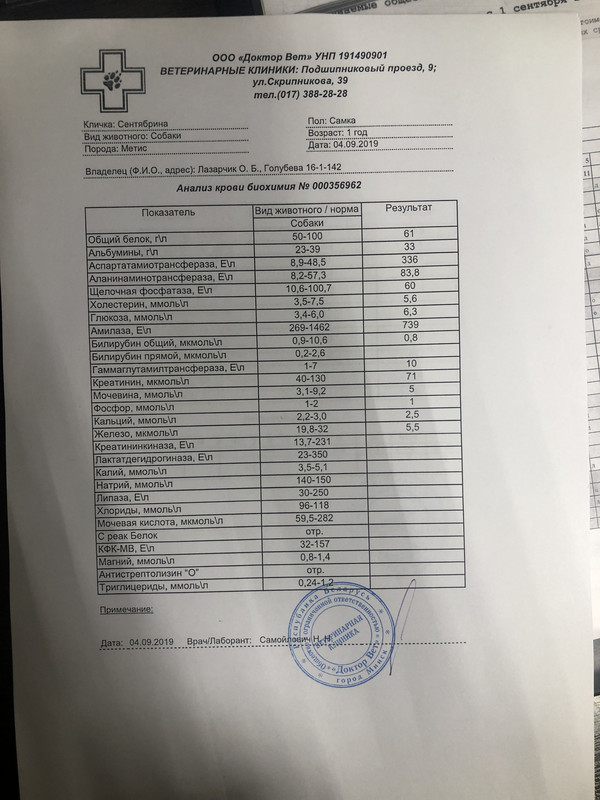 3FA12E3D-186E-437F-BF2A-61A3B3AFA108