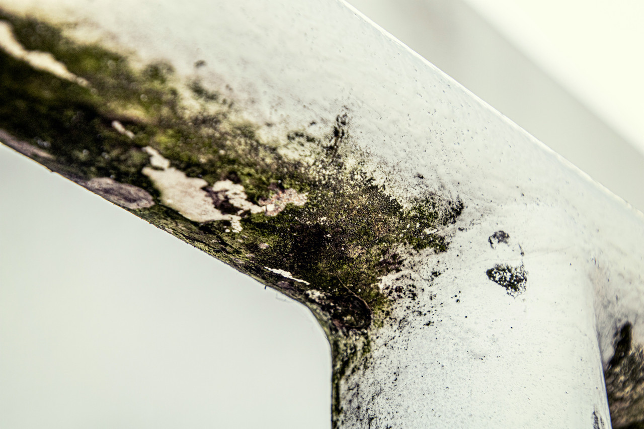 Documenting water damage for insurance claim purposes