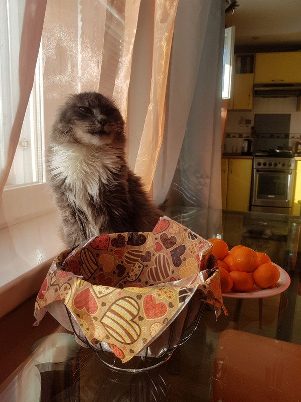 F7C343FD-DEC9-4677-A0F6-6F4C957159EB