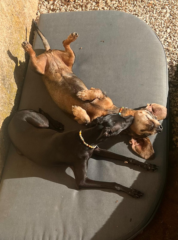 [Image: IMG-20251003-WA0010.jpg]