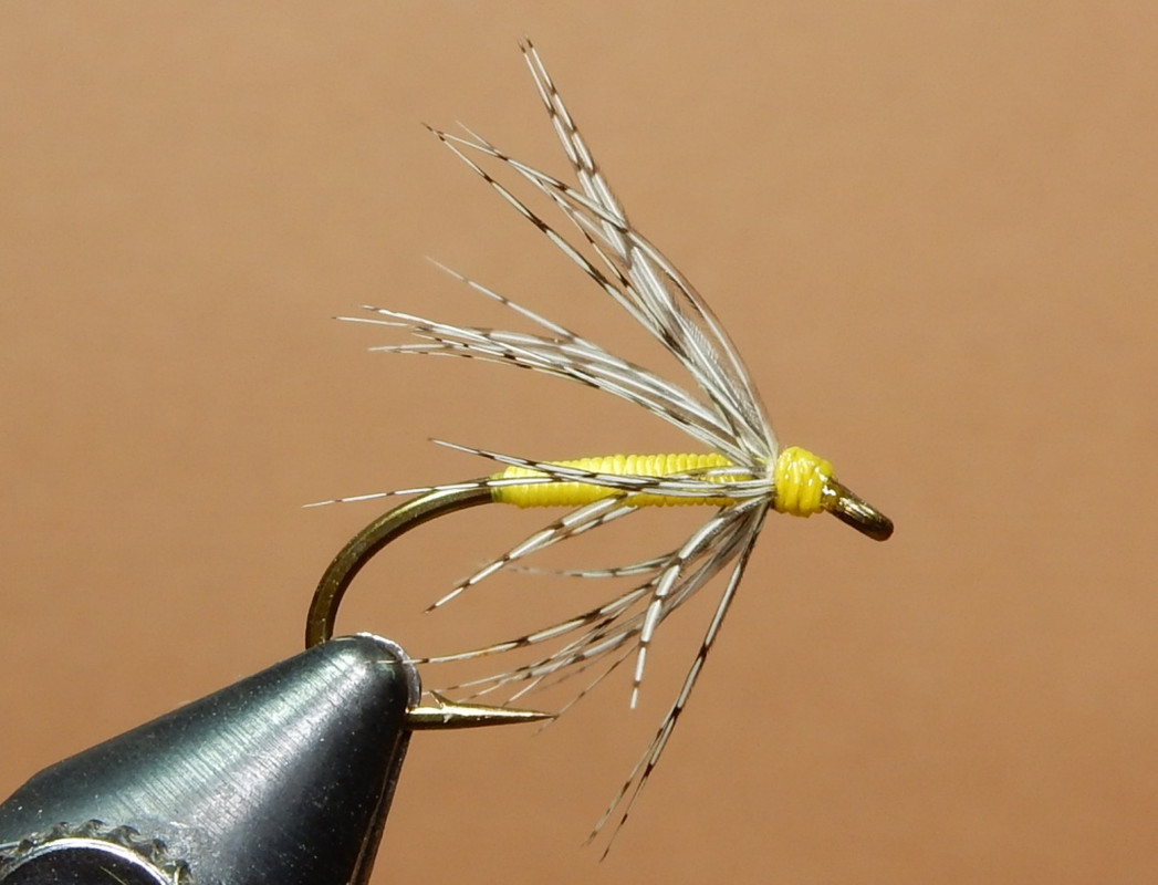 What Are You Tying Today? Pa