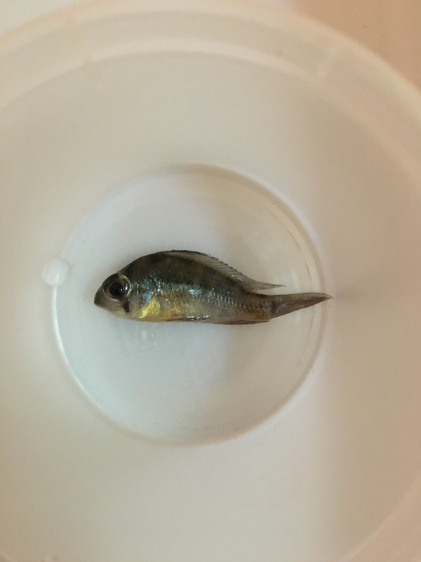 A335546A-6C55-4FC6-9ABD-0AC2150BFDC9