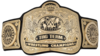WWE-Tag-Team-Championship-2.png