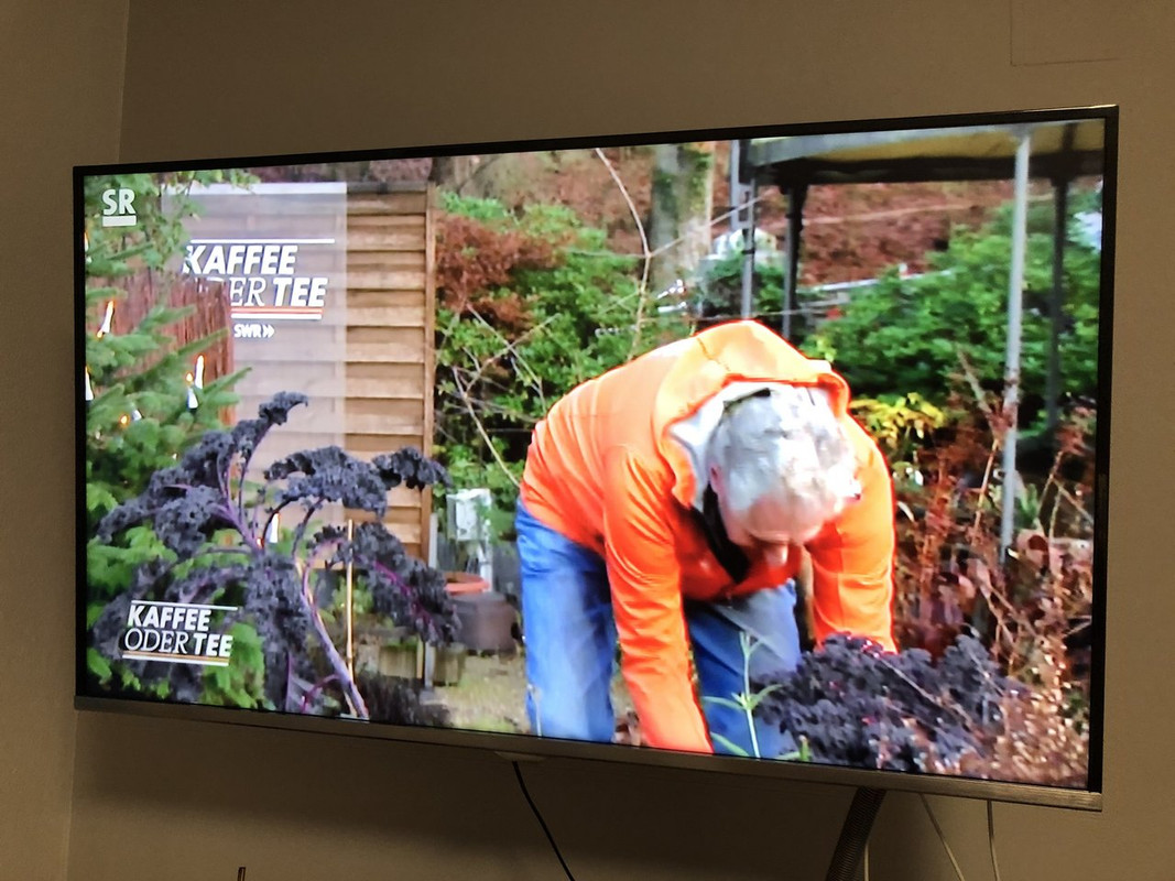 74256F13-F58A-4D95-9FF6-7B42DE90CFE0