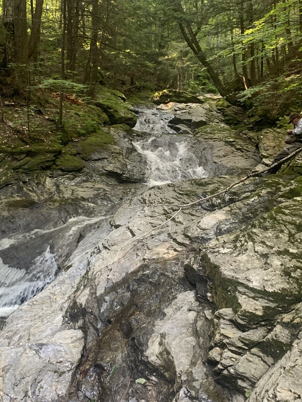 DD5CC606-012B-4A8C-B1DF-A6DA6CB20103