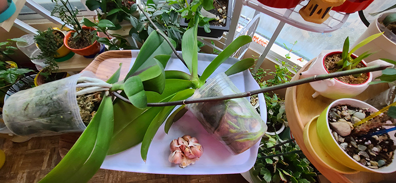 [Image: 20230422-100315.jpg]
