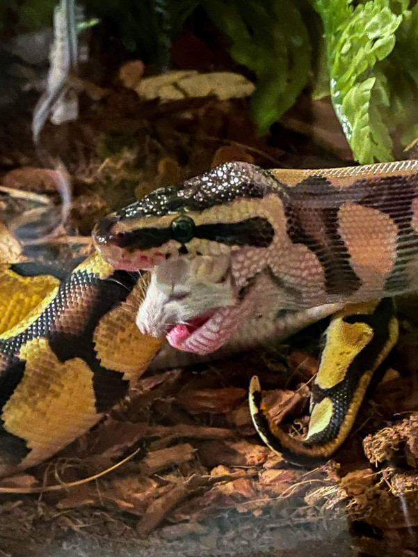 7E777FD9-3620-4047-8A93-ABC5DFBE80DD