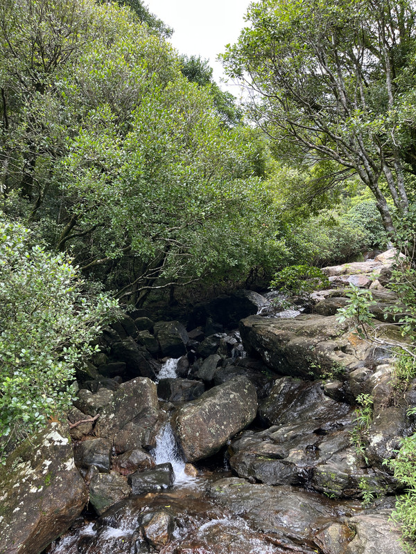 IMG-7231.jpg