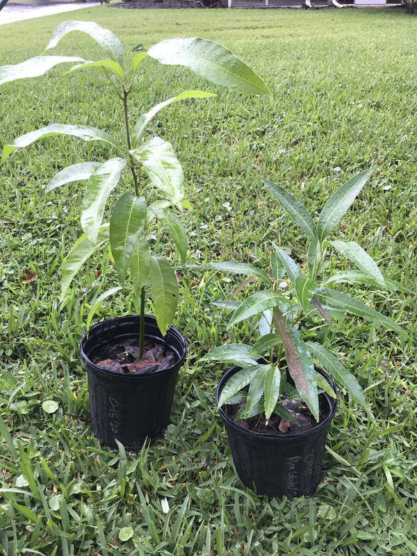 24C9B4D9-3FBF-4D45-B8C4-06E9F63D3FA4