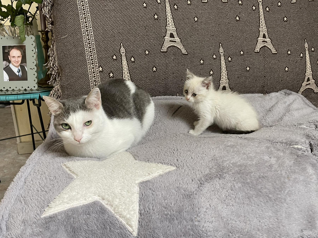 IMG-9e848bb479e5c32ef5ec6b5316b8b642-V