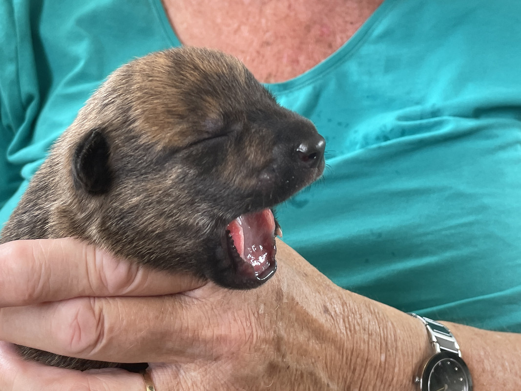 B666FC71-14CD-4AD4-B07A-40305CA2A035