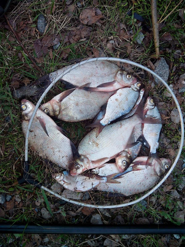 Заостровка 14.05.14.03