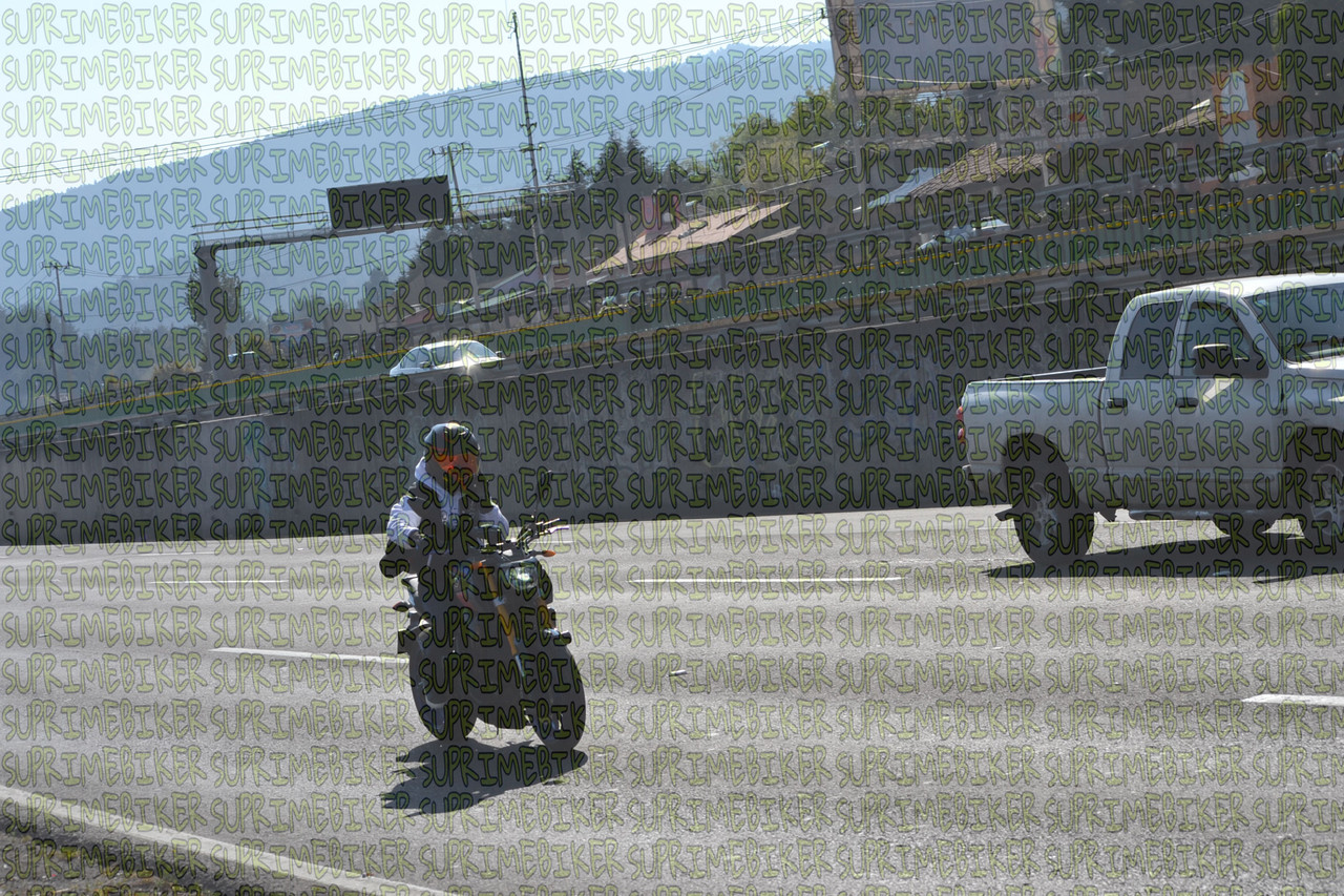 DSC 0880